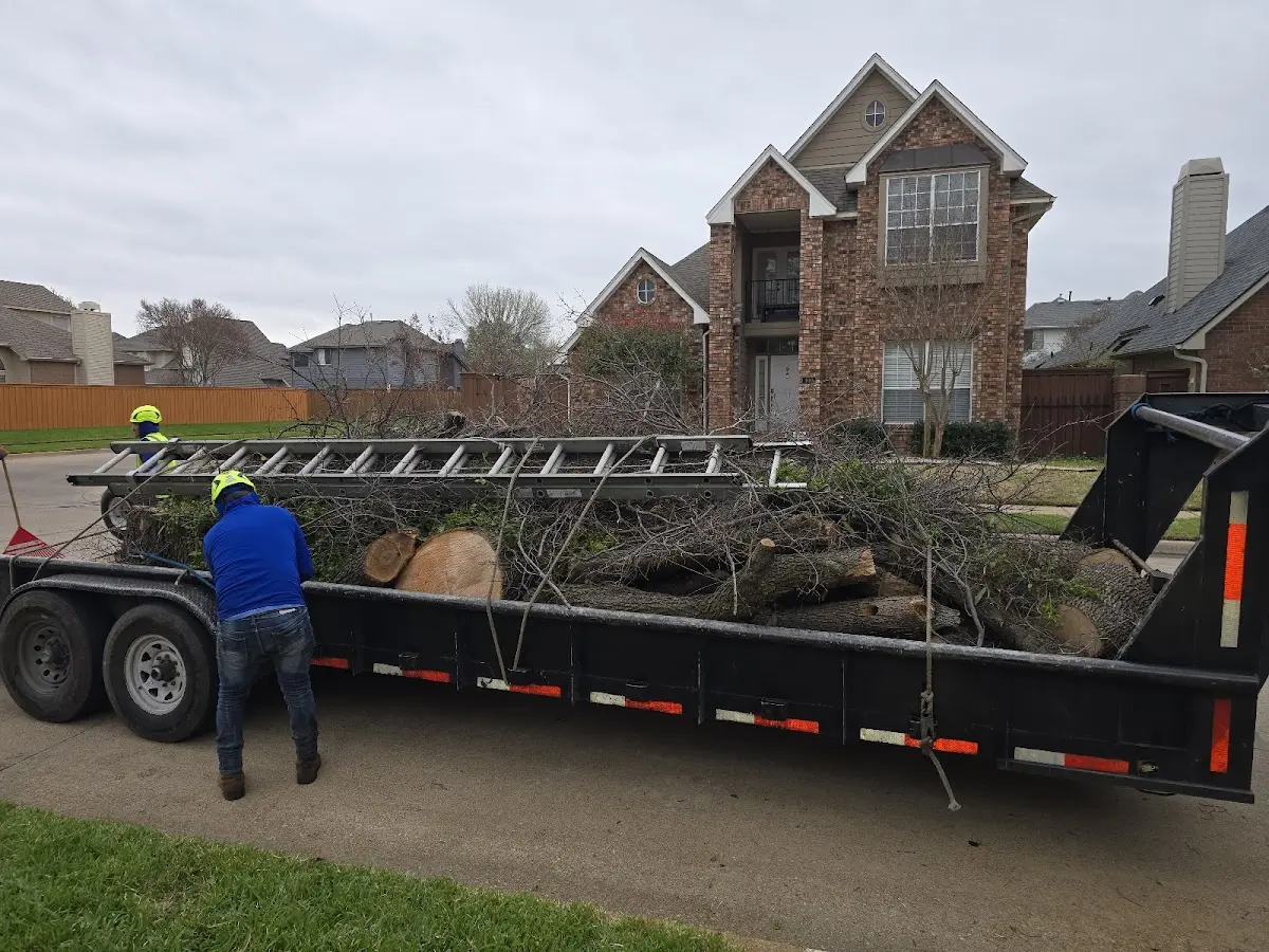 Expert Tree Pest Control with proper safety equipment in Rudolph